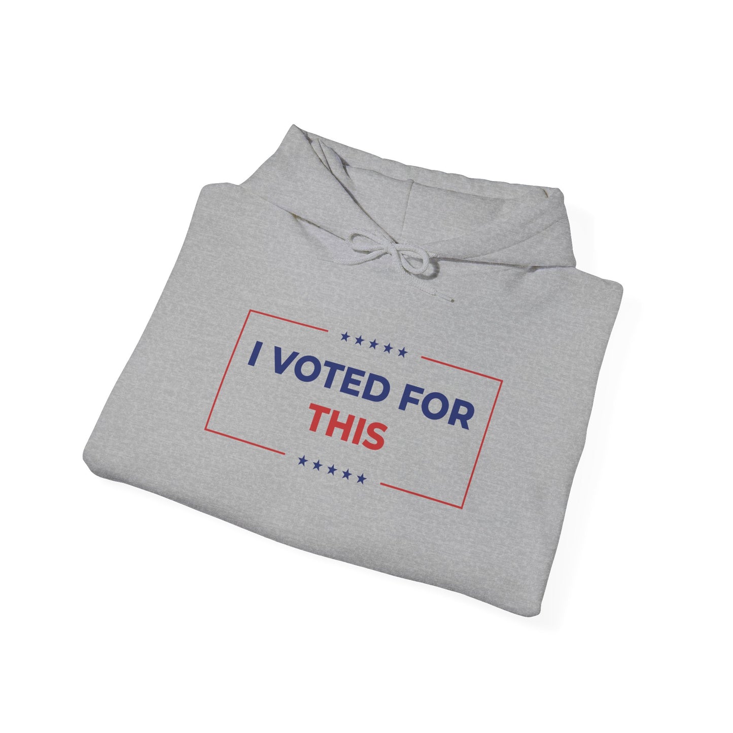 I Voted For This - Hoodie