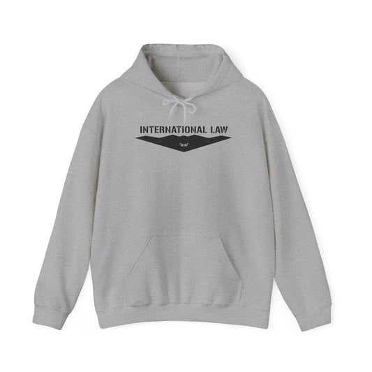 B-2 International Law Hoodie