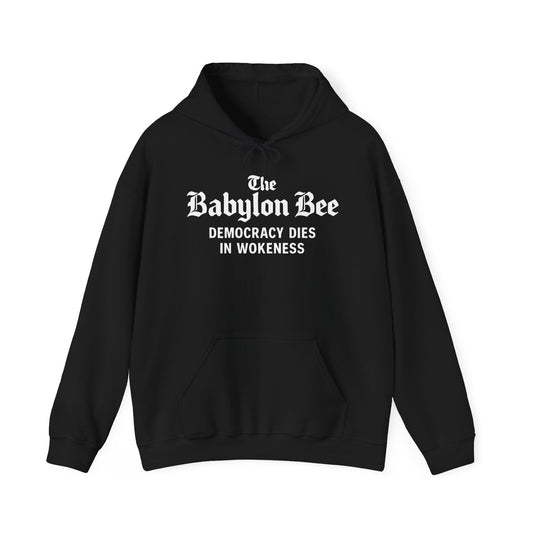Democracy Dies in Wokeness Hoodie