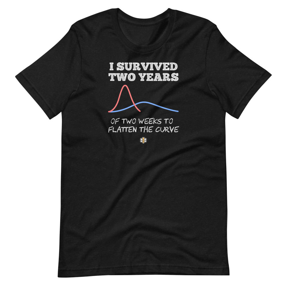 I Survived 2 Years to Flatten the Curve T-Shirt