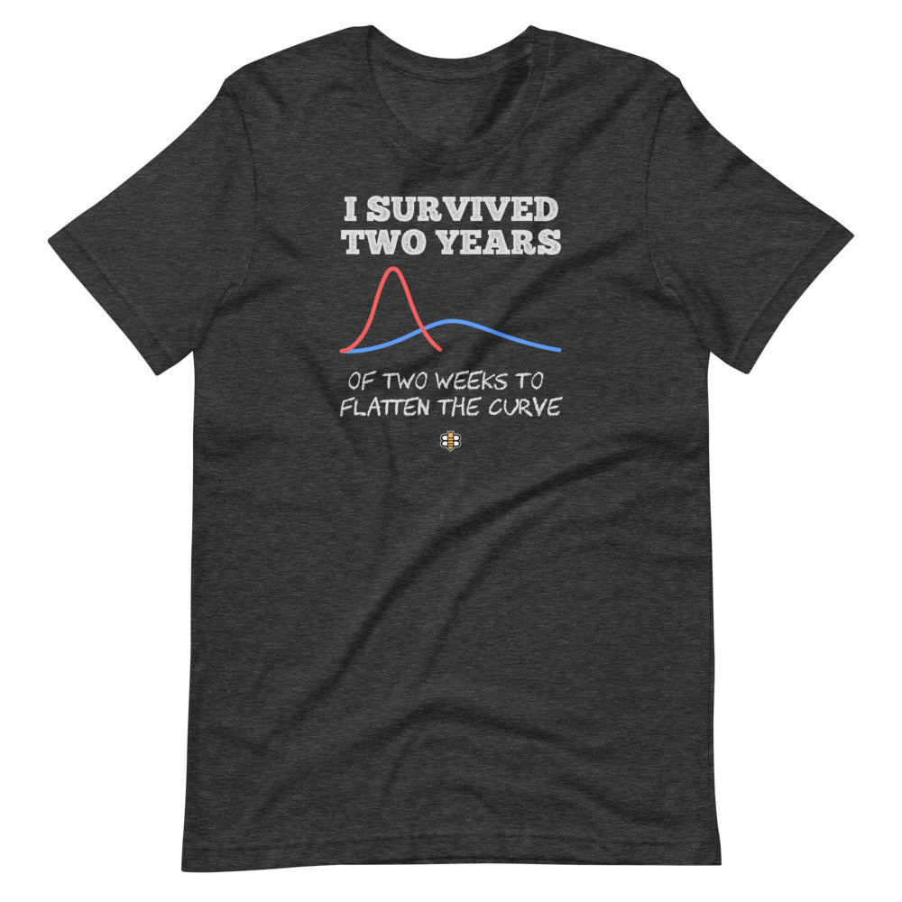 I Survived 2 Years to Flatten the Curve T-Shirt